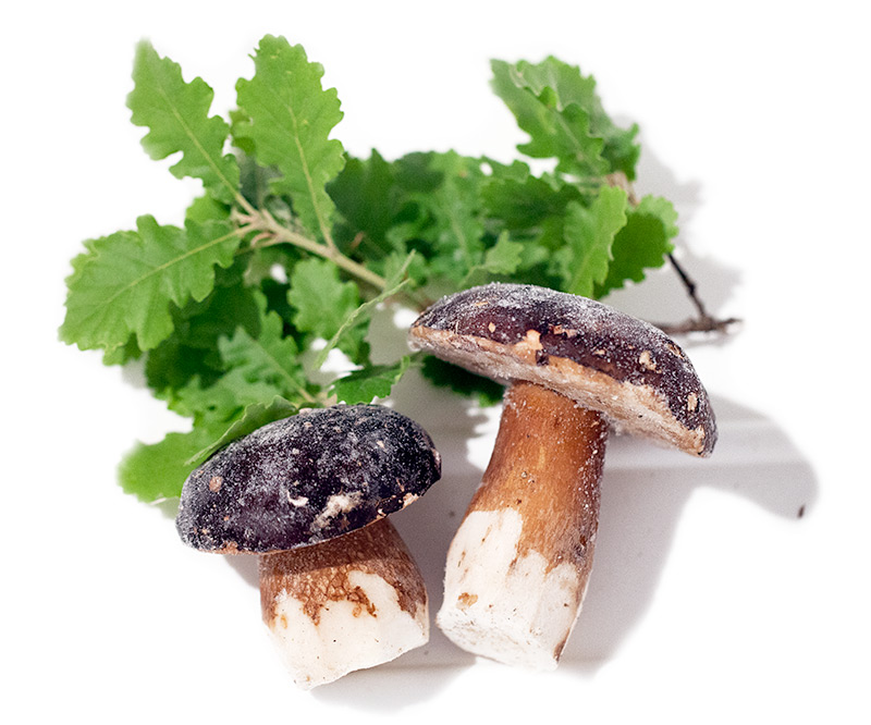 Funghi porcini congelati interi